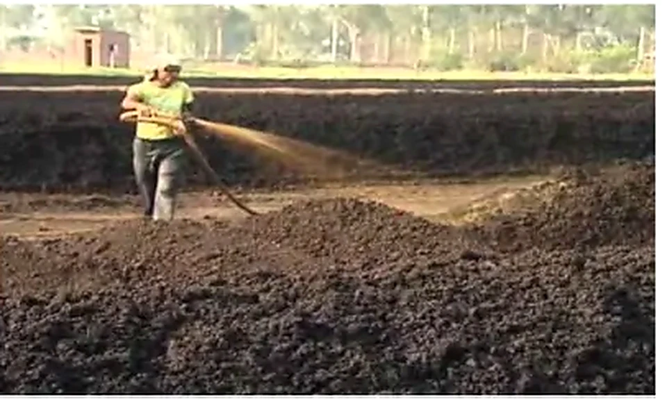 Press Mud used as feedstock for BioCNG production