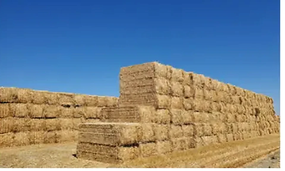 Wheat Straw used as feedstock for BioCNG production