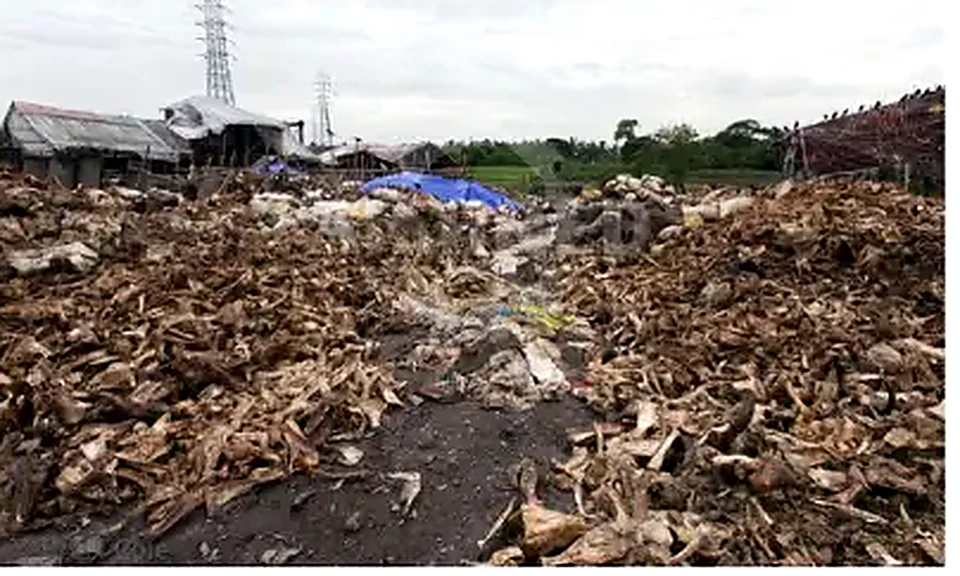Slaughterhouse Waste used as feedstock for BioCNG production